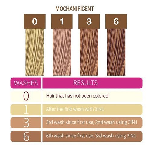 3-In-1 Shampoo - Mochanificent